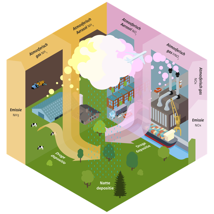 Schematisch overzicht van het transport van stikstof door de lucht en de natte en droge depositie ervan