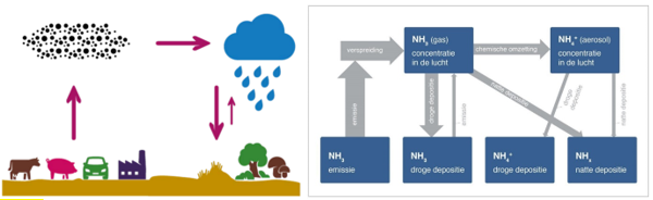 Figuur 6: Schematisch overzicht van de belangrijkste processen die een rol spelen in de luchtkwaliteit; links algemeen en rechts in detail geïllustreerd aan de hand van ammoniak